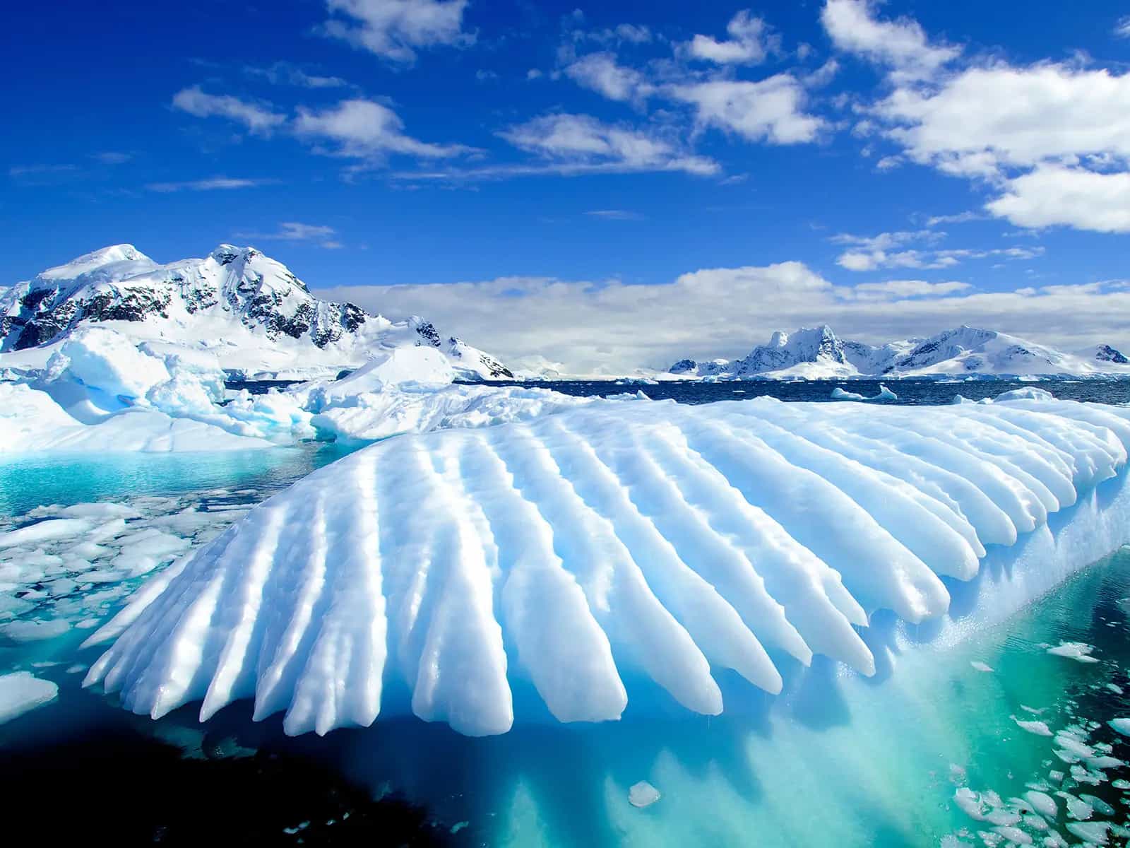 Enorme buco in antartide: il mistero delle «polinie» giganti