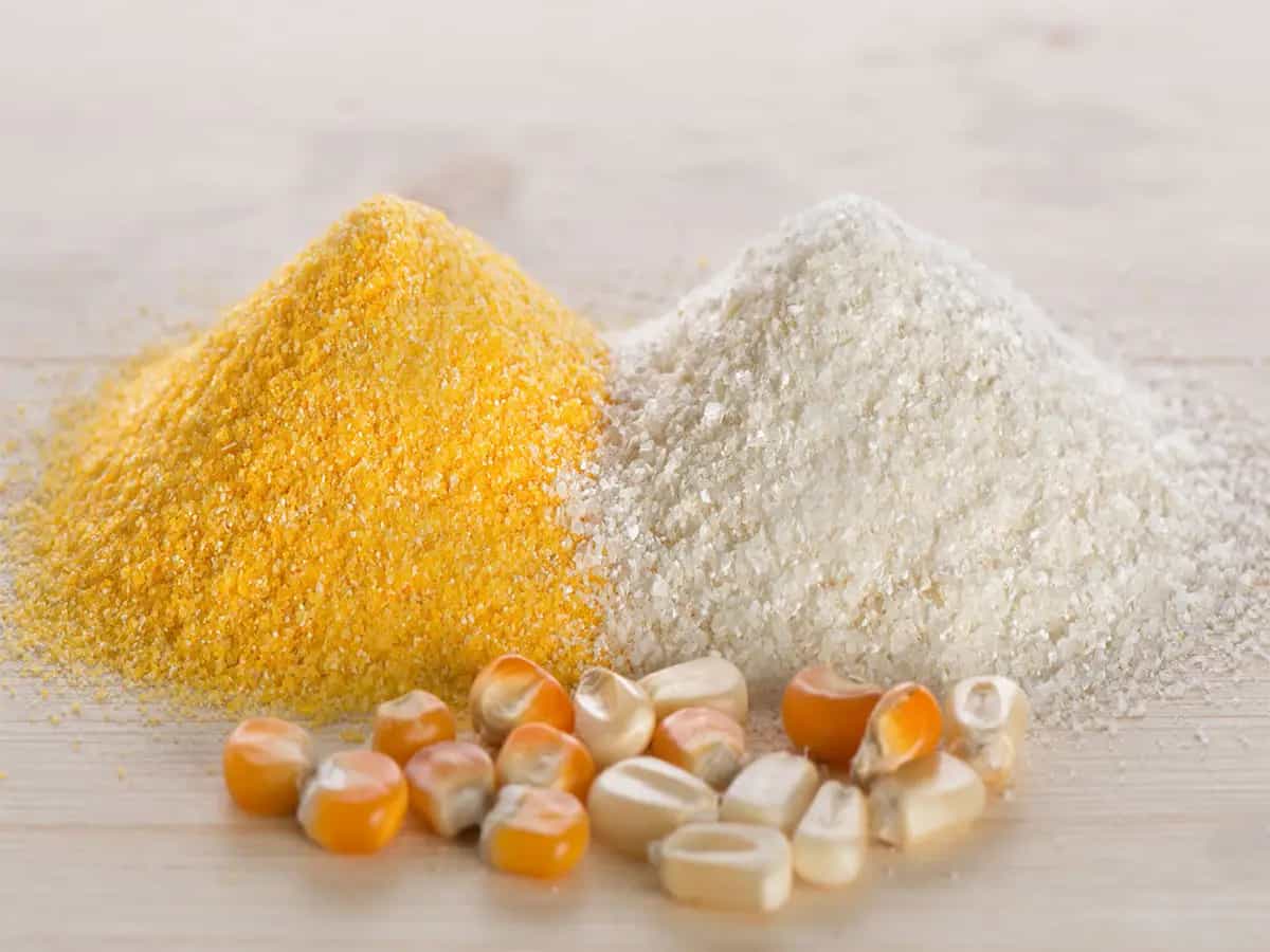 Polenta gialla e bianca tutte le differenze
