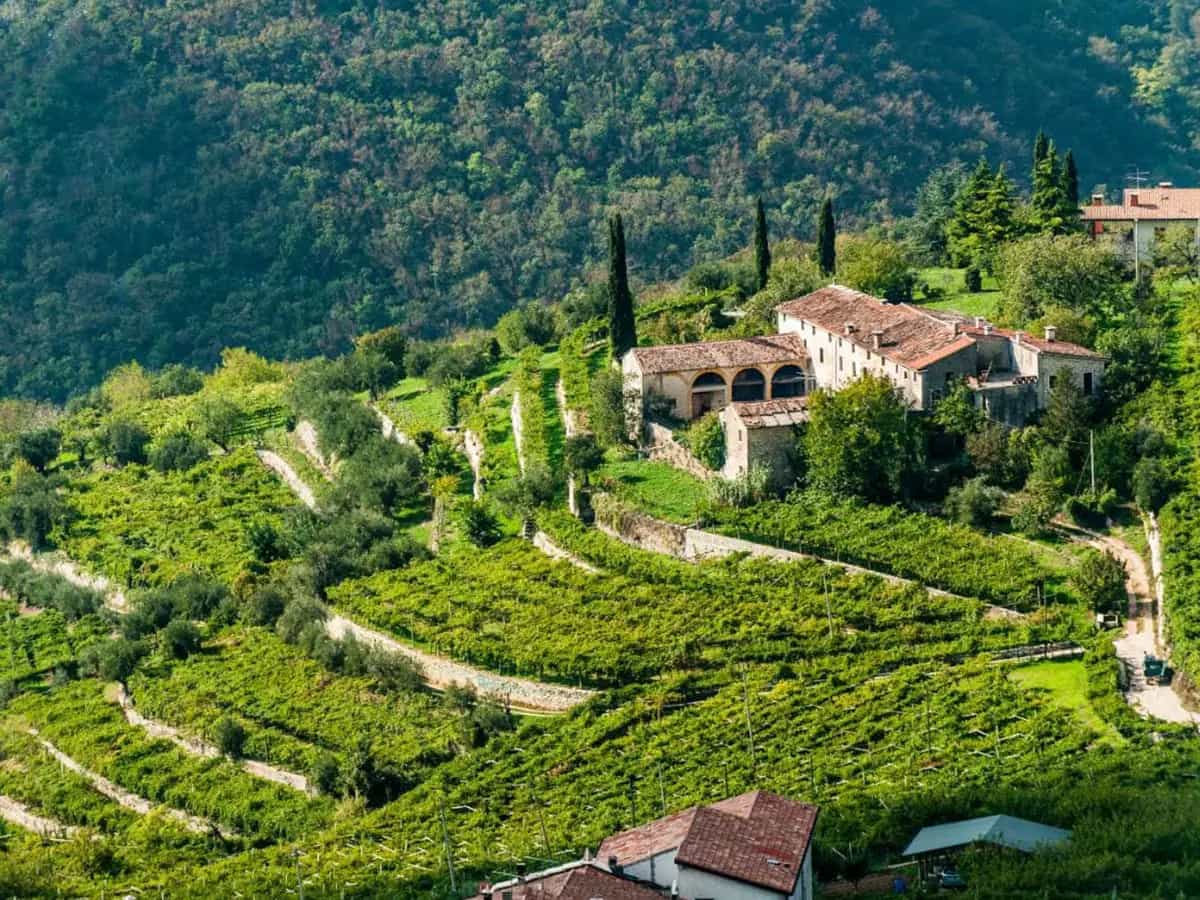 Valpolicella