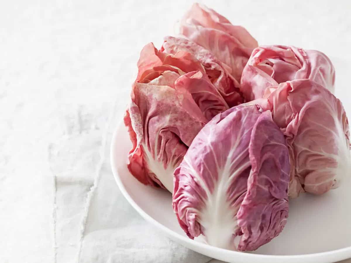 radicchio rosa veneto