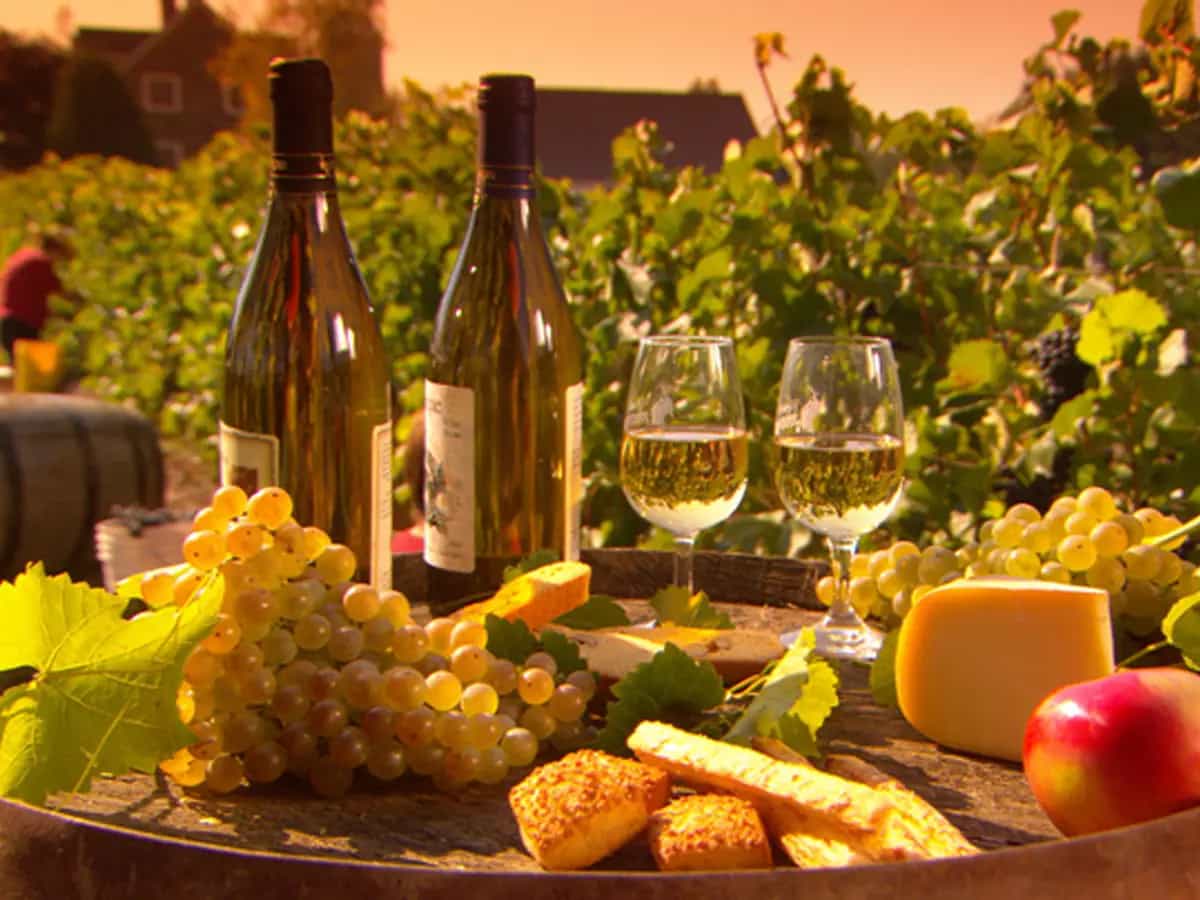 Cose il terroir