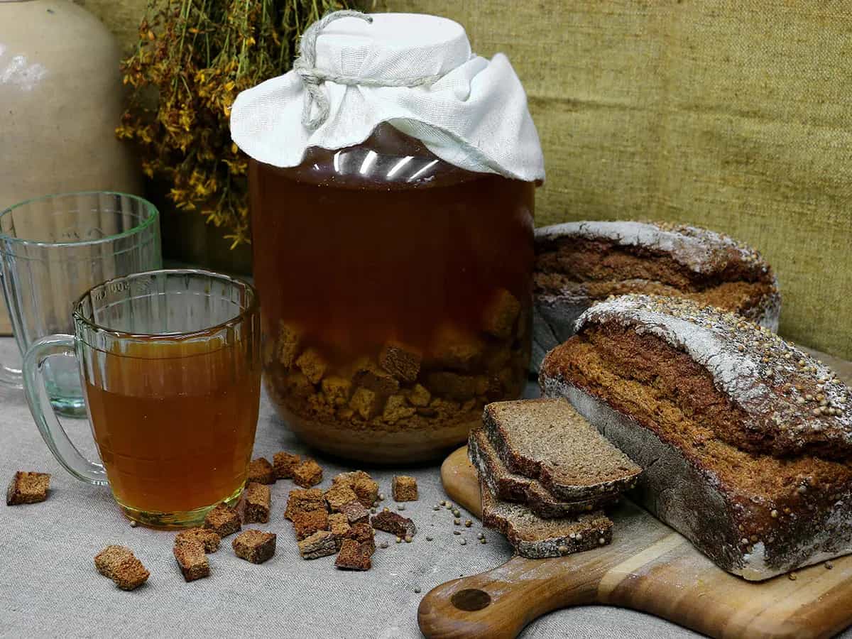 Kvass alternativa russa della Coca-Cola si fa con il pane