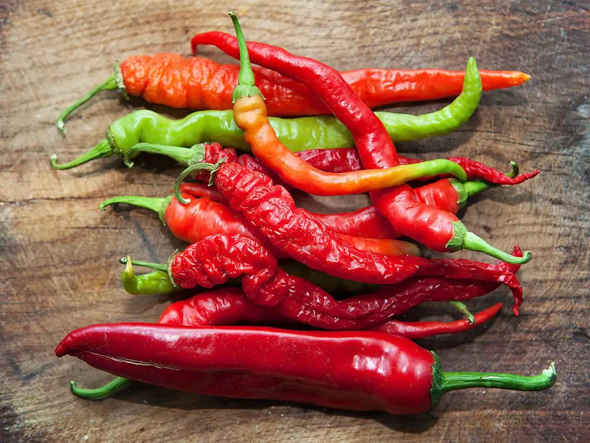 Pepper Challenge le celebrita sensibilizzano sulla SLA