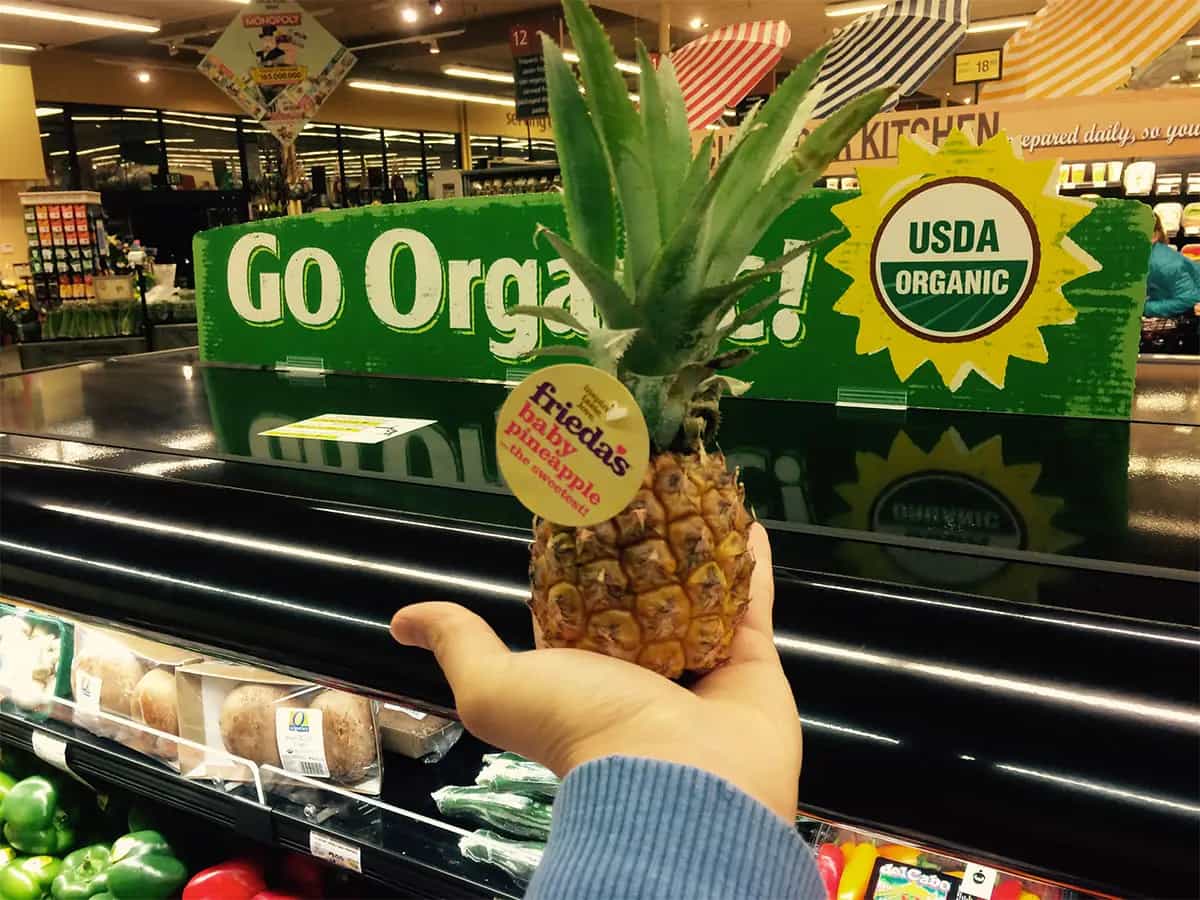 Falso biologico USA frutta ananas