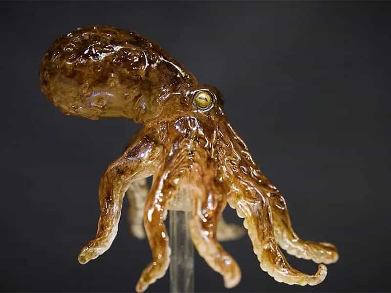 Sculture di zucchero su Instagram