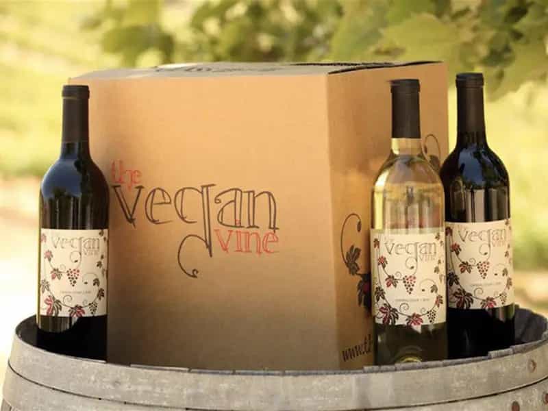 successo vino vegano