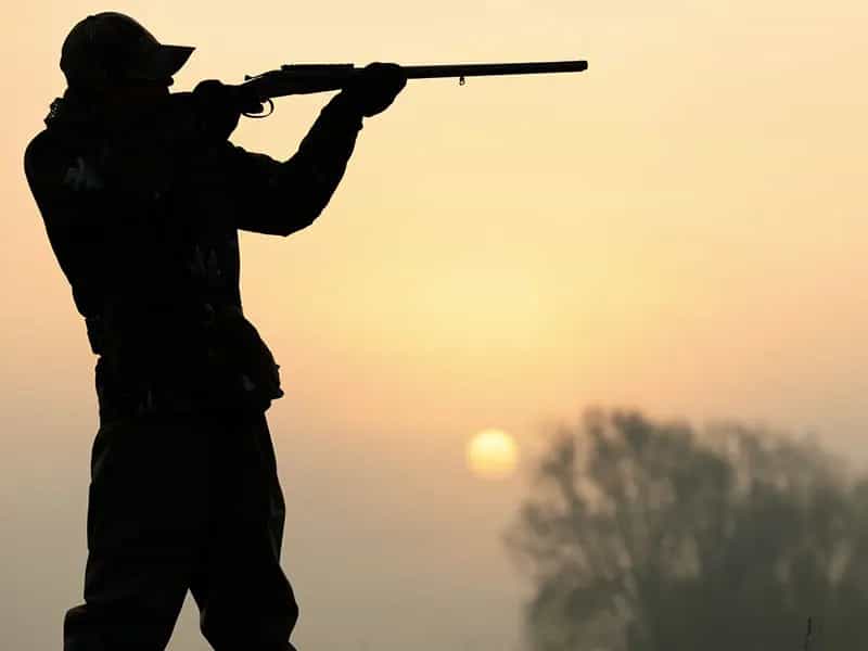 carne biologica caccia