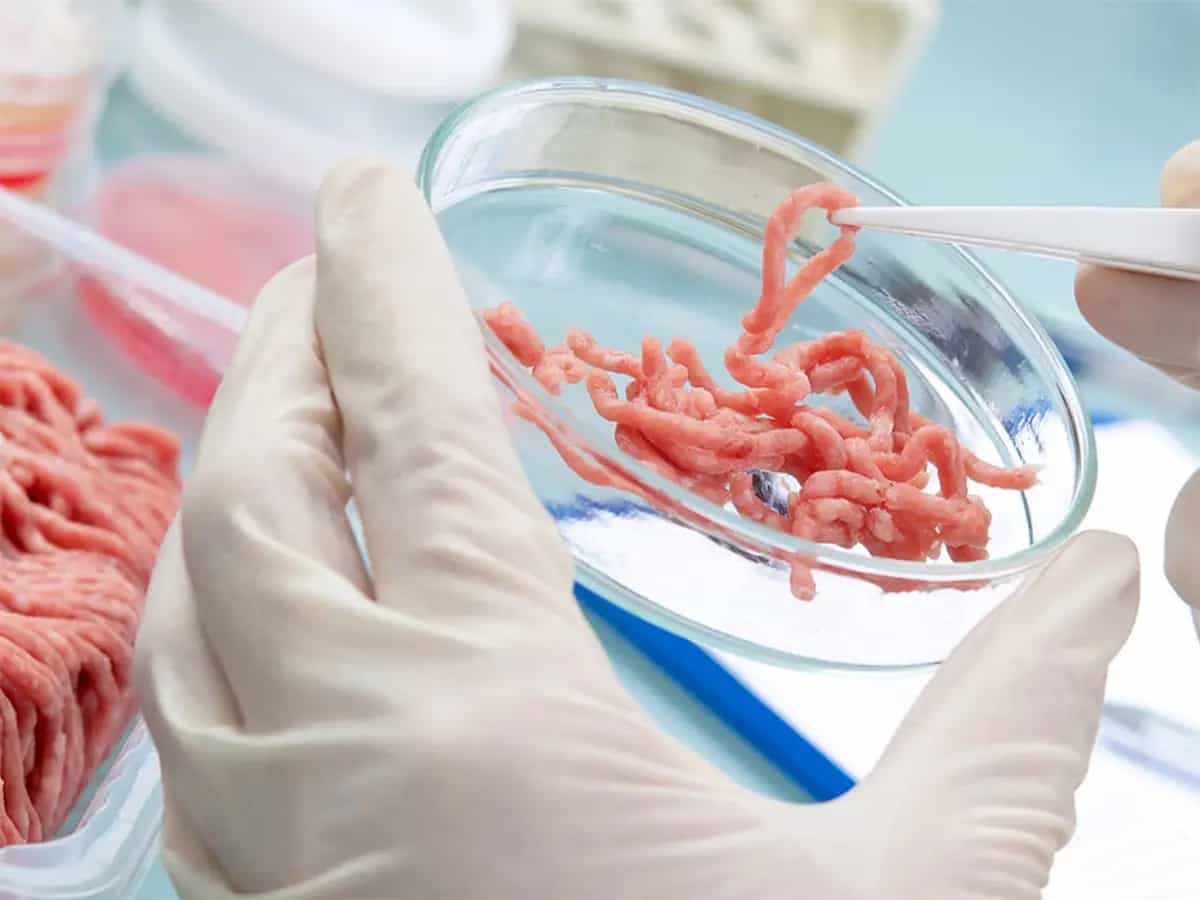 carne in laboratorio inquina di piu