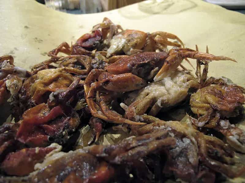 come cucinano moeche