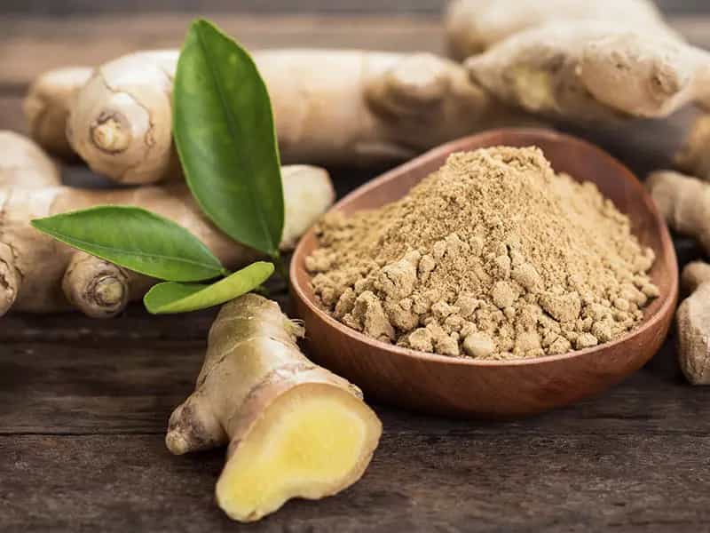 differenza zenzero ginger