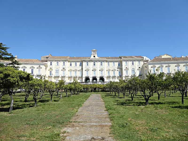 come sara wine art museum