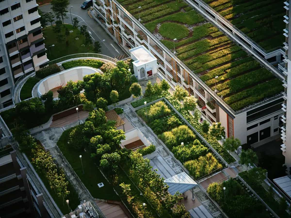 biologico città