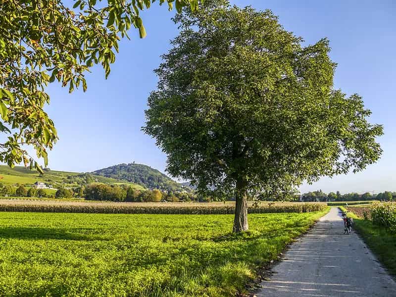greenways italia