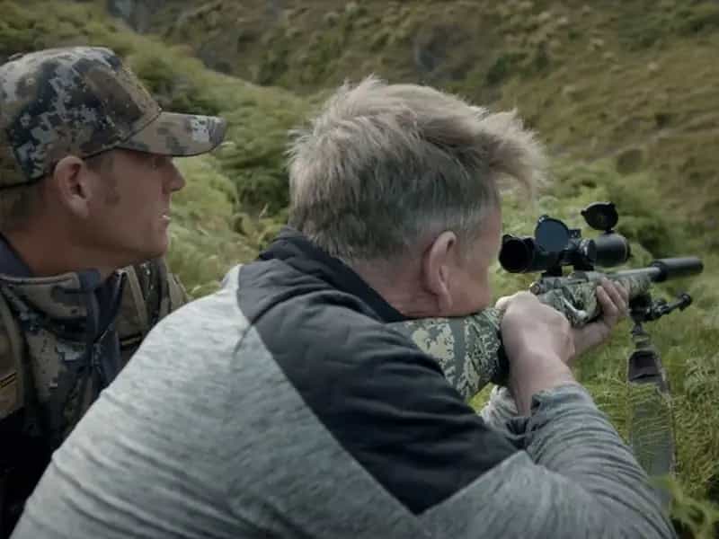 capre selvatiche nuova zelanda