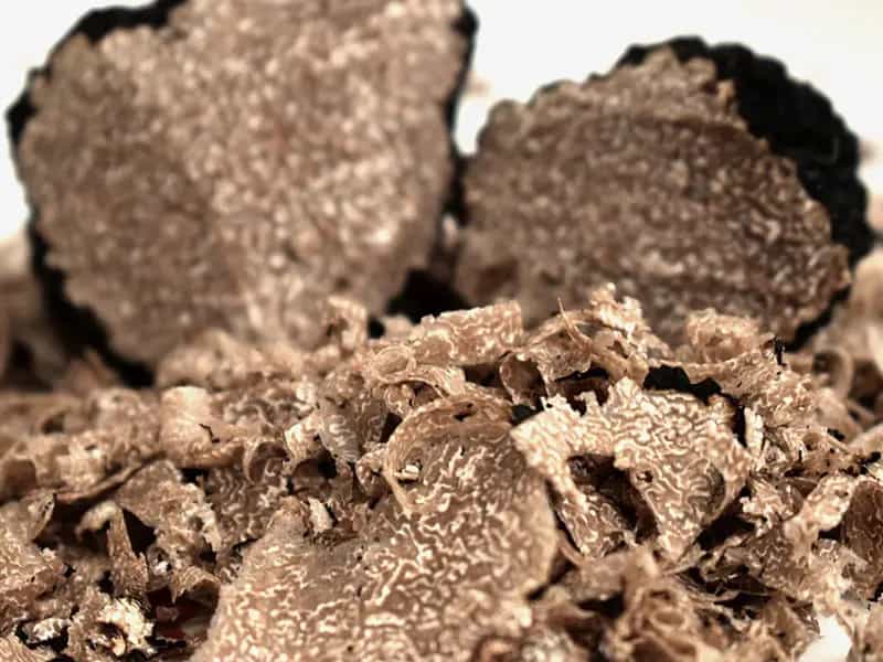 tartufo biologico