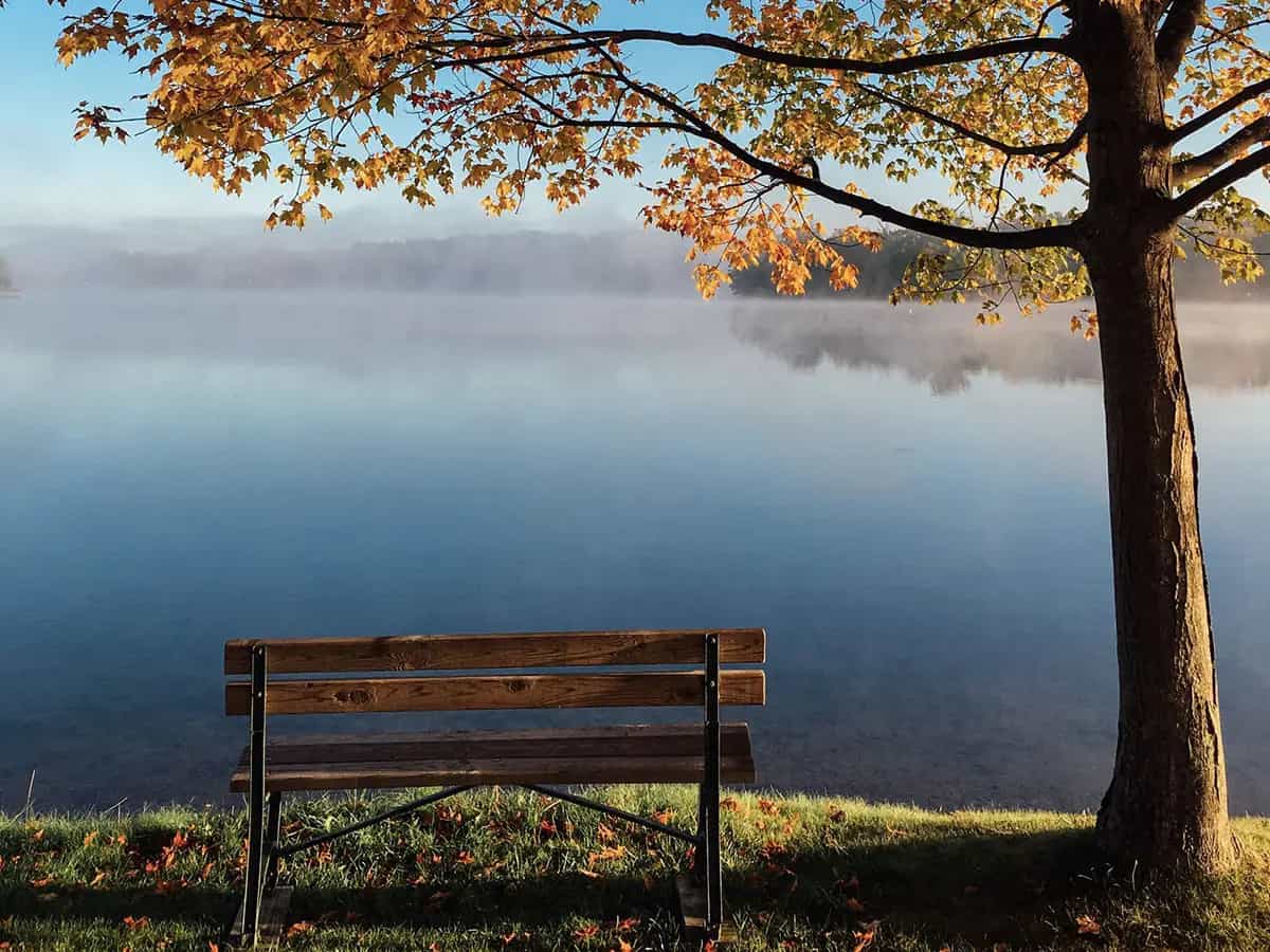 viaggi sostenibili green