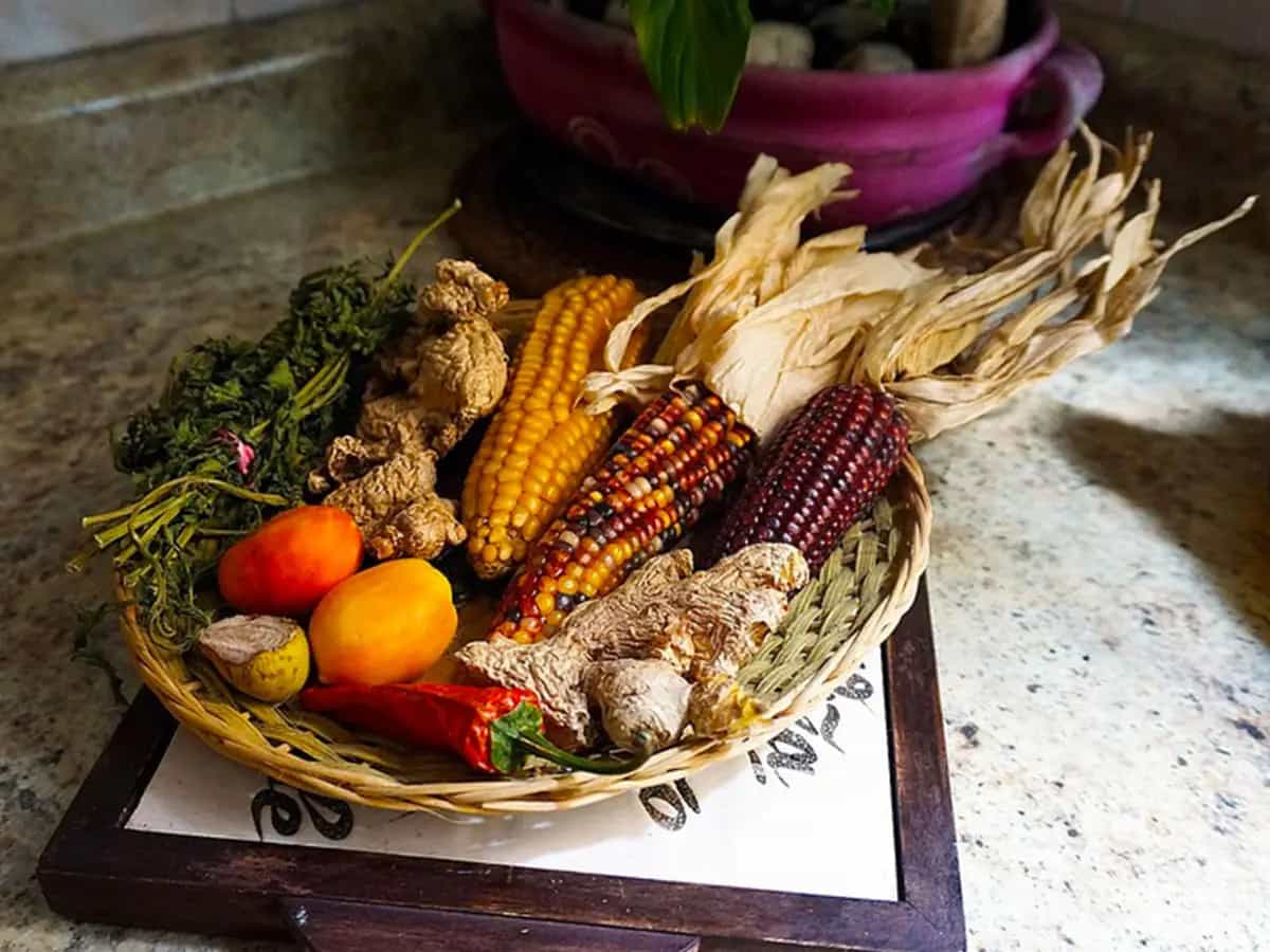 granturco arcobaleno sudafrica america