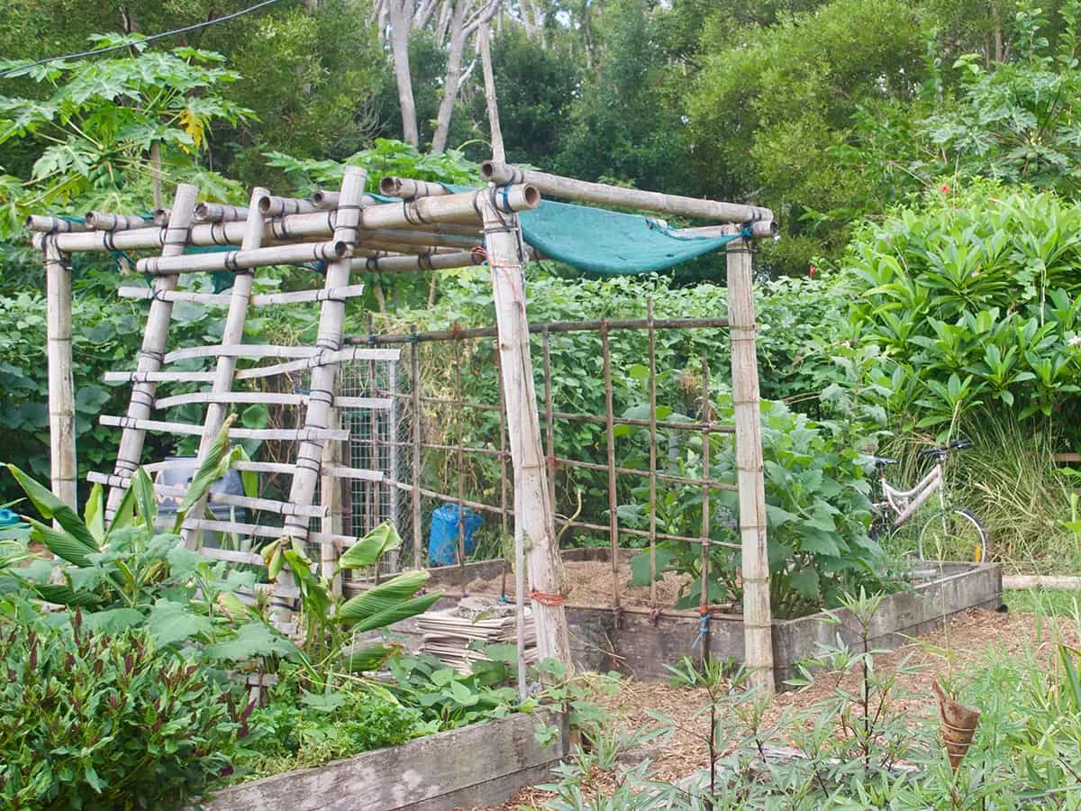 Cos'è la permacultura