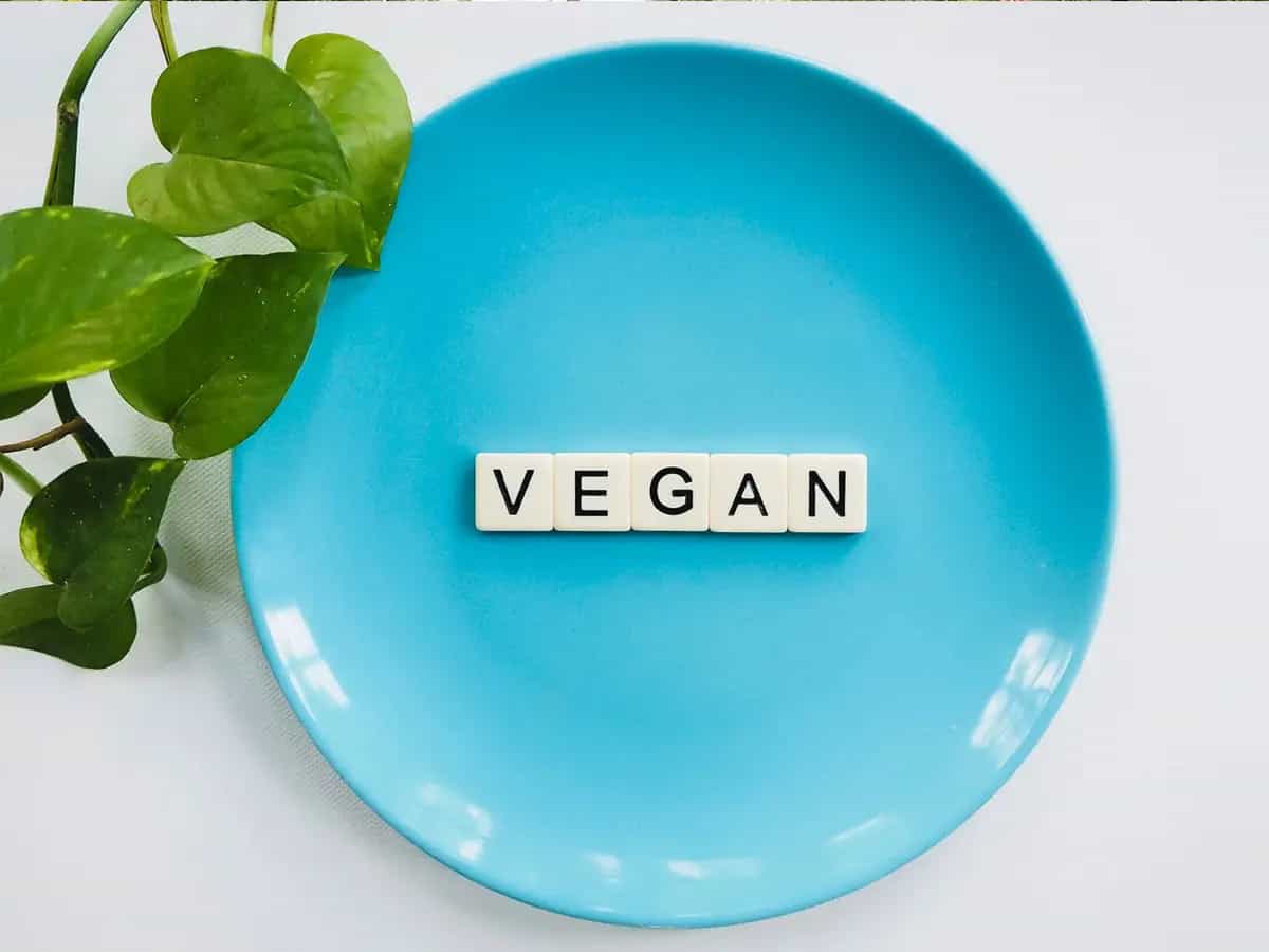 Libri filosofia vegan