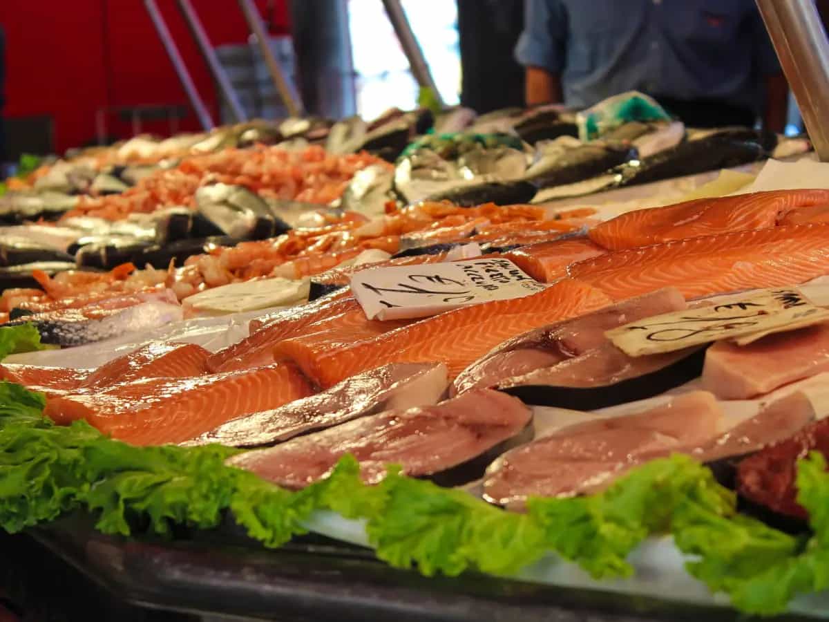 Pesce grasso mal di testa