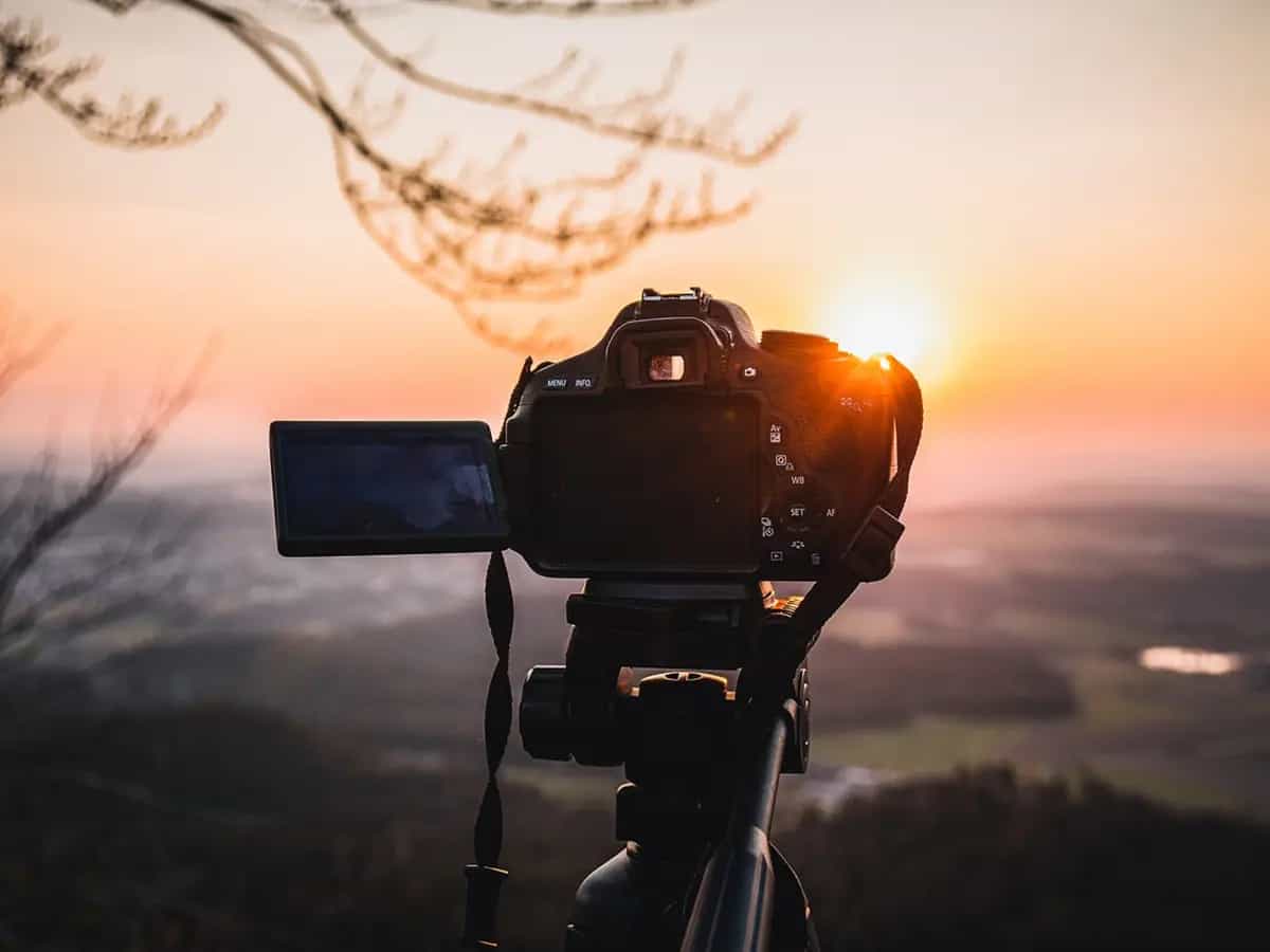 In Our Nature documentario