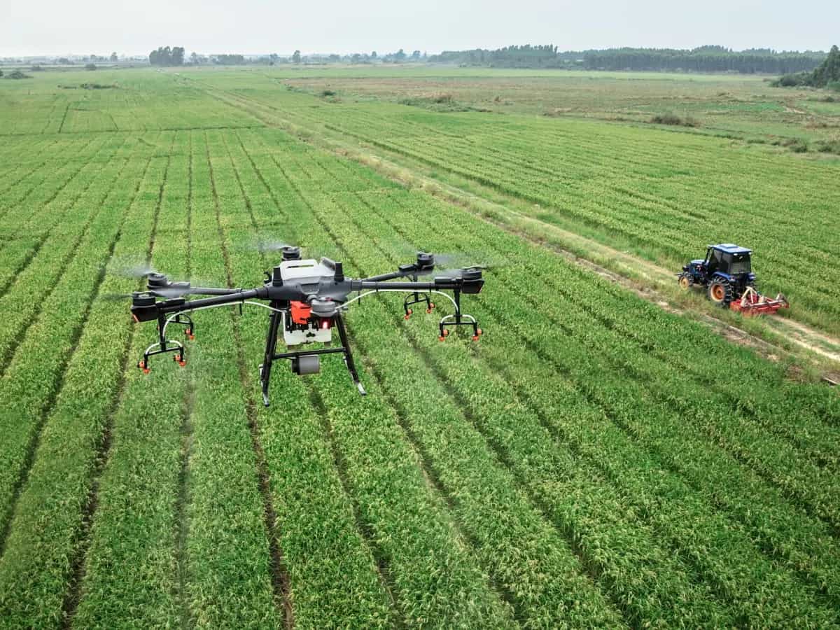 intelligenza artificiale agricoltura