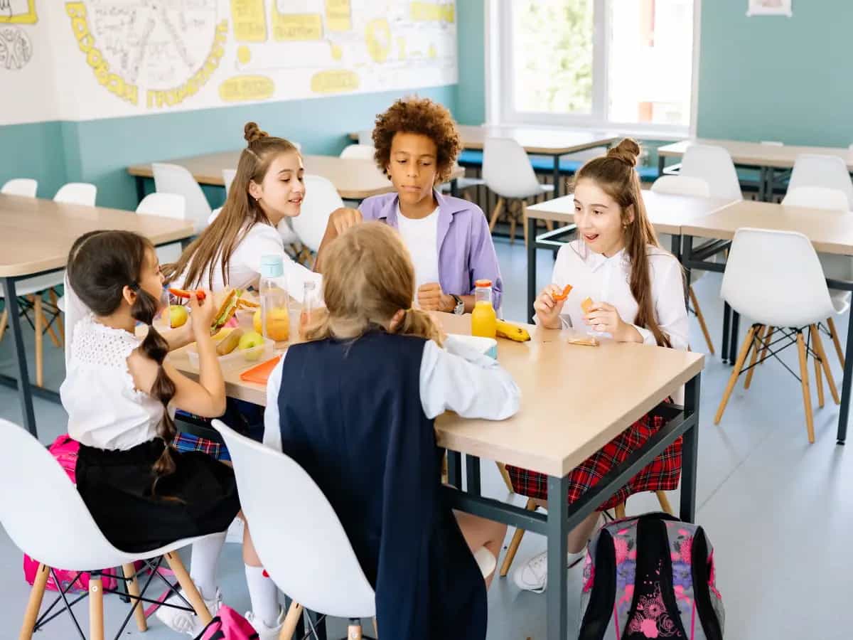 mangiare insetti scuola