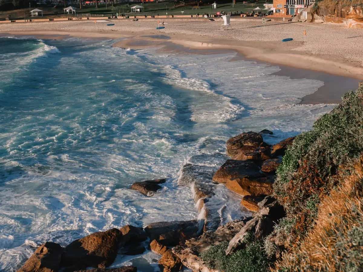 Australia ambiente biodiversità