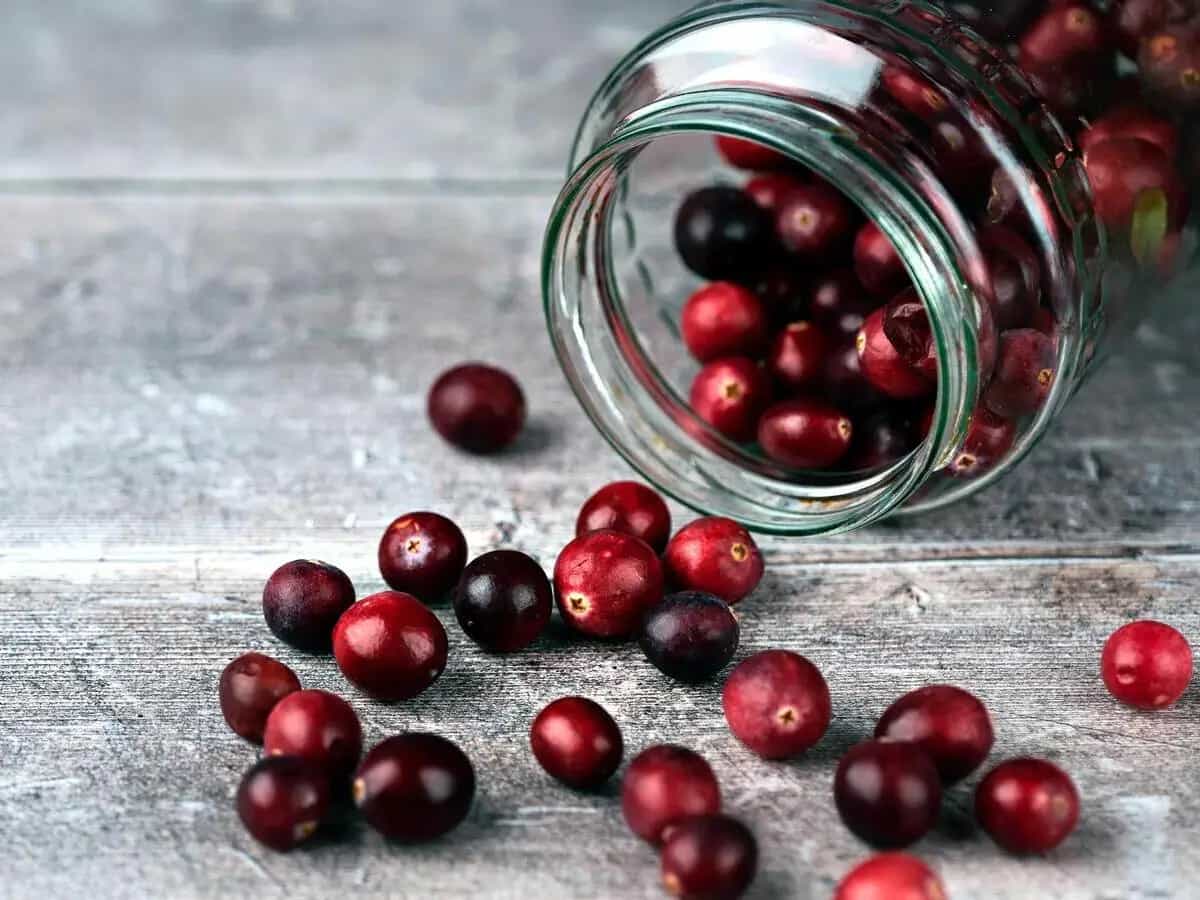 controindicazioni mirtillo rosso