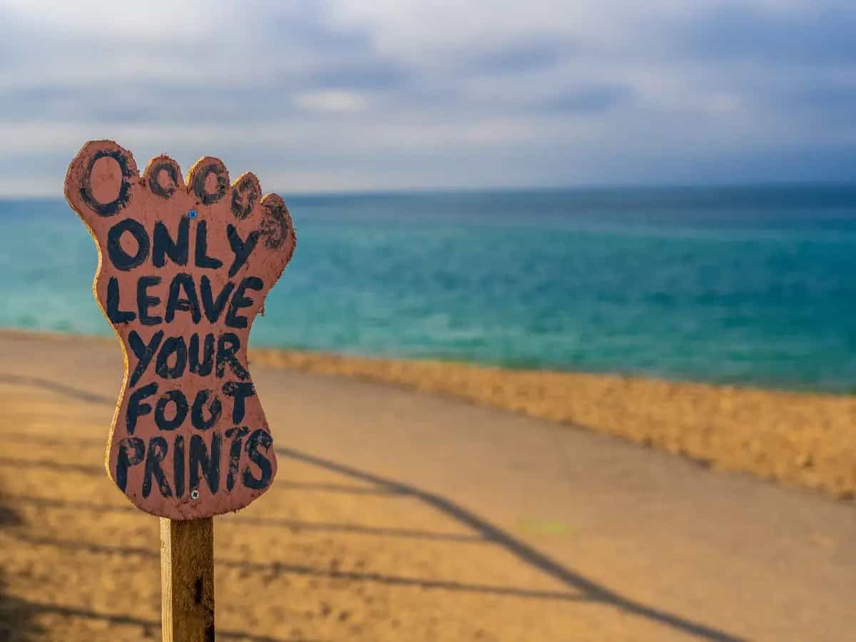 Estate sostenibile, 10 consigli per proteggere l’ambiente