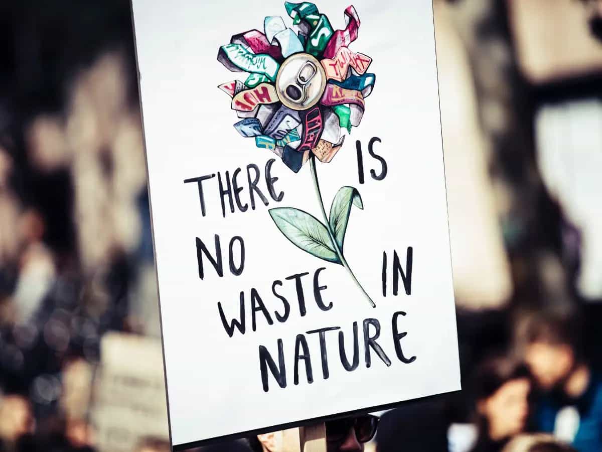 Cos’è la Cop15, il vertice dell’Onu sulla biodiversità?
