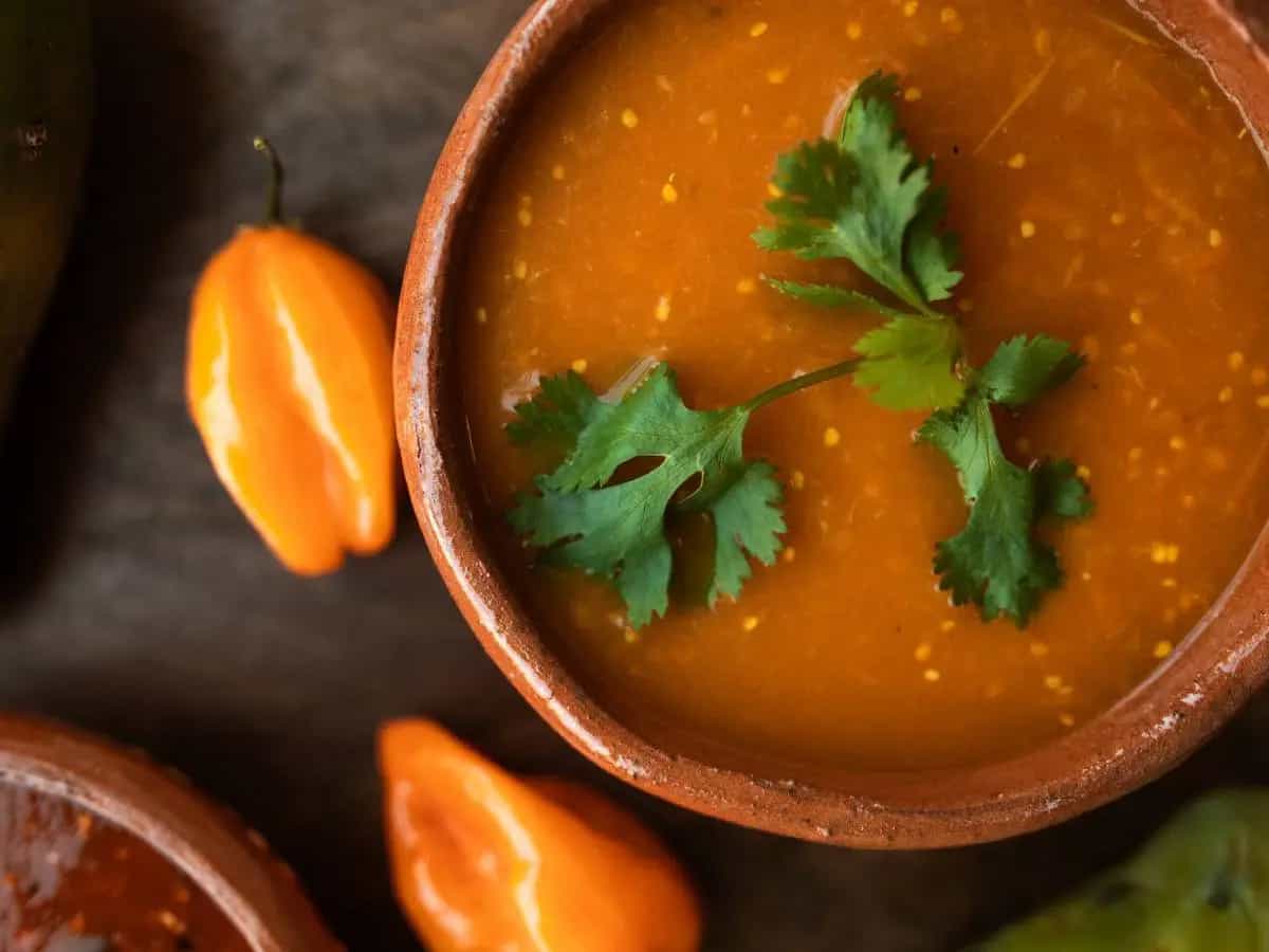 differenza minestra zuppa vellutata