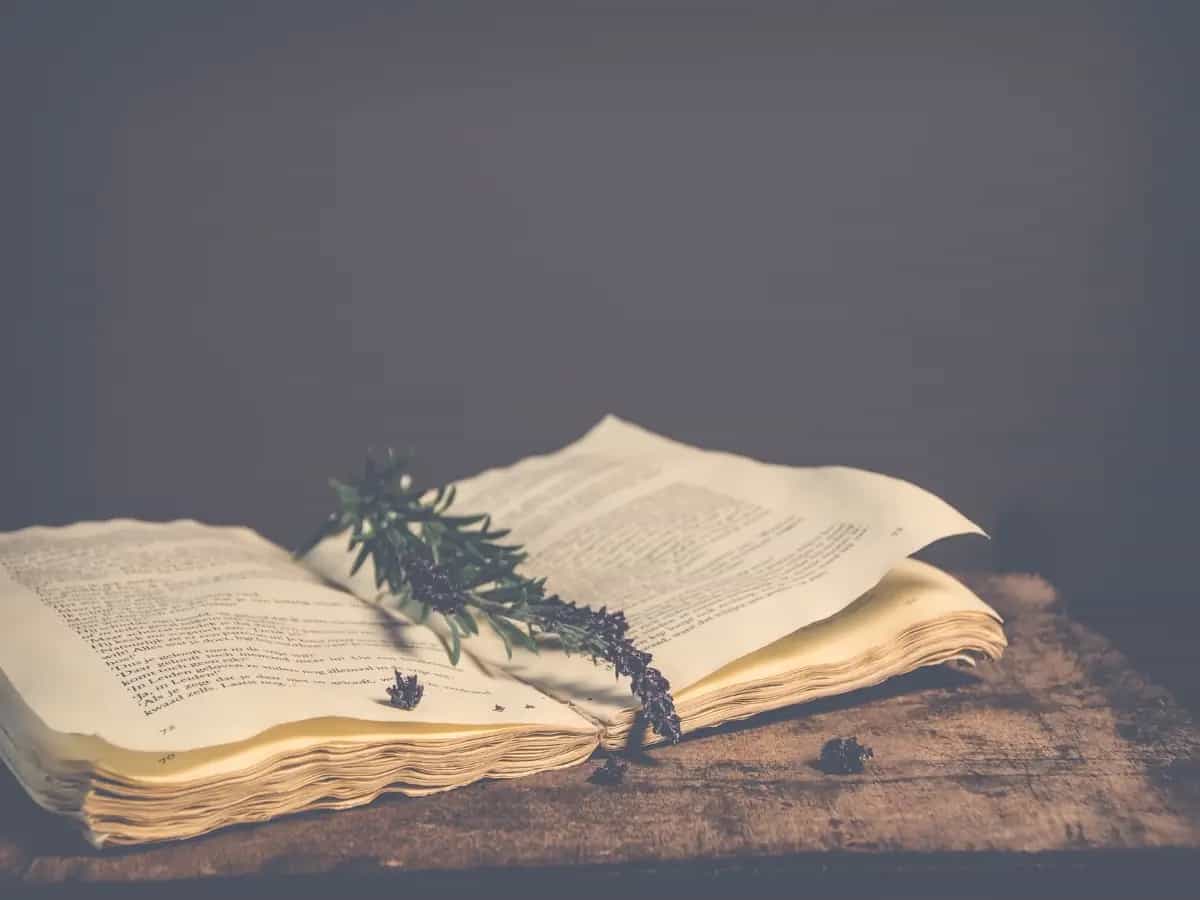 natura mary shelley