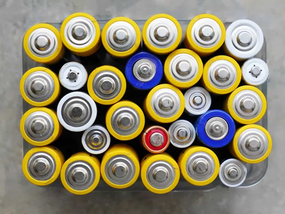 batteriacommestibile