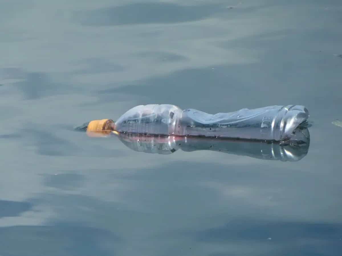 plastica monouso soluzioni sostenibili