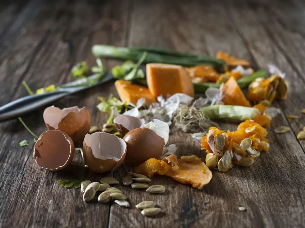 Comer sano desperdicia