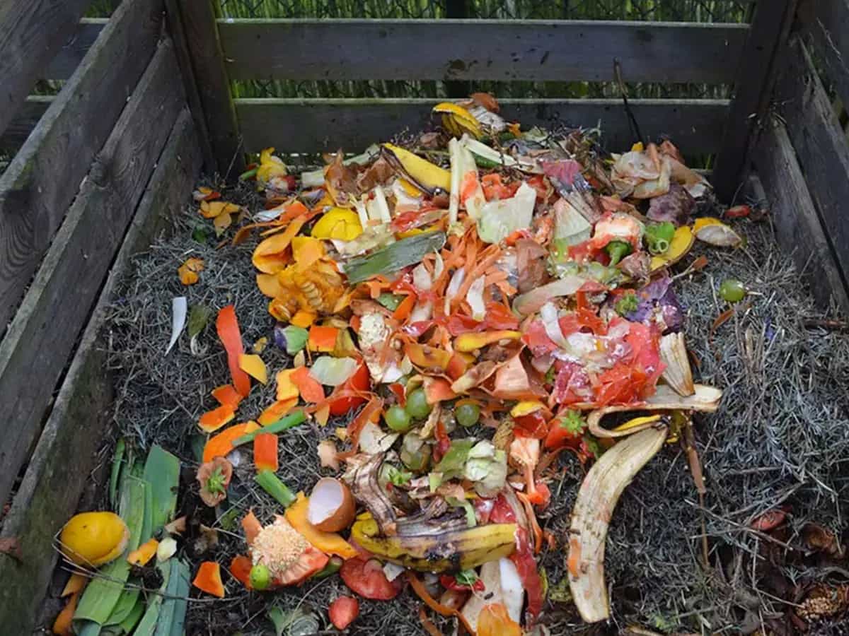 Diferencia biodegradable y compostable