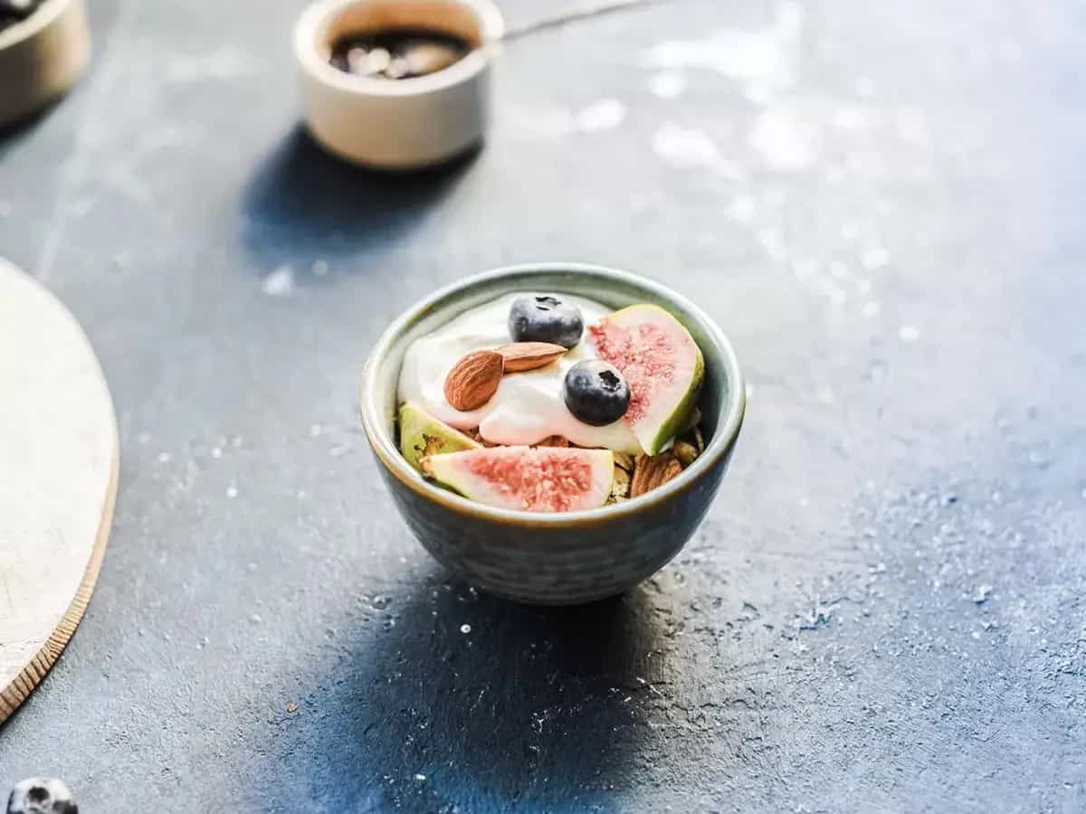 Diferencia fermetos lácticos y probióticos