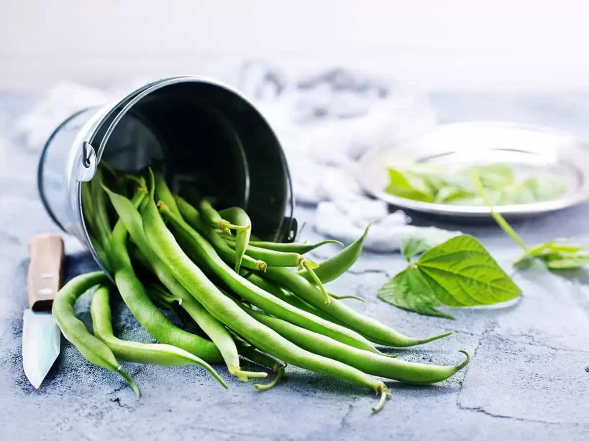 Judías verdes