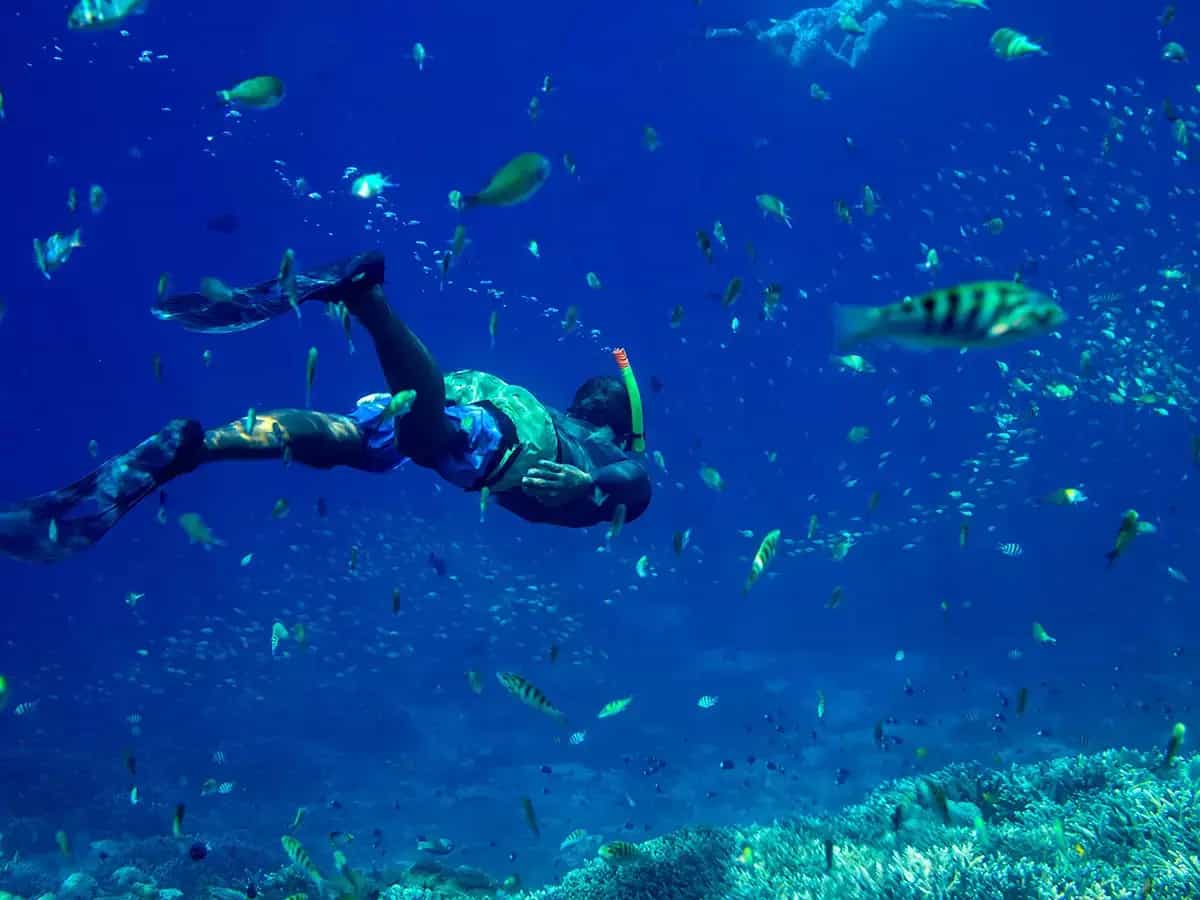 Plancton oceánico y oxigeno