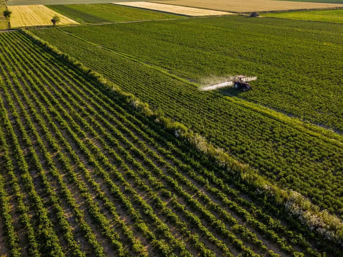 italia sicurezza alimentare
