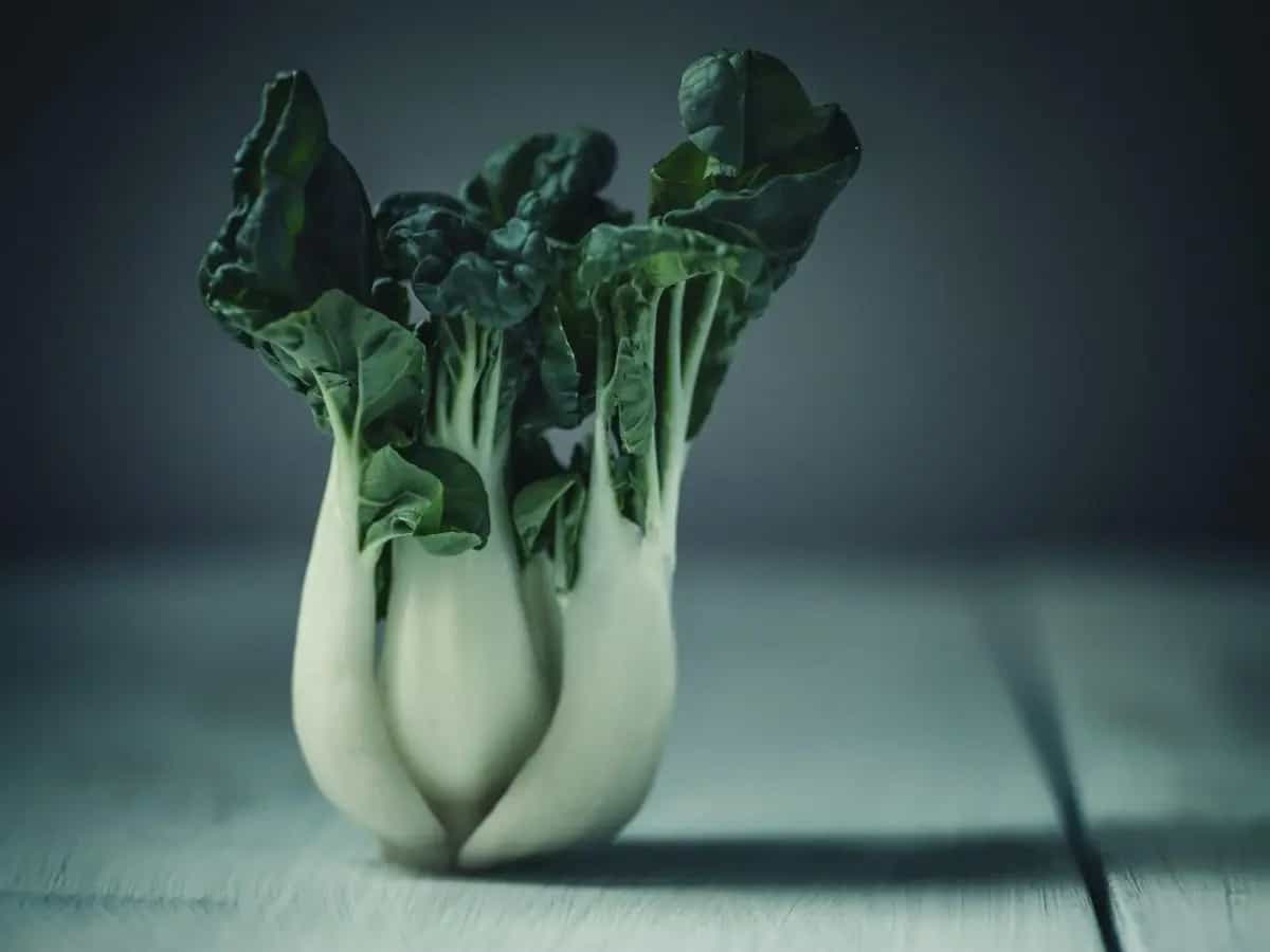 Il pak choi è un ortaggio noto anche come “cavolo cinese” che da qualche anno si trova anche nei supermercati italiani
